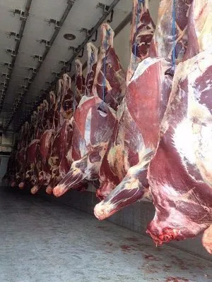 поставки мяса в Архангельск в Барнауле 2